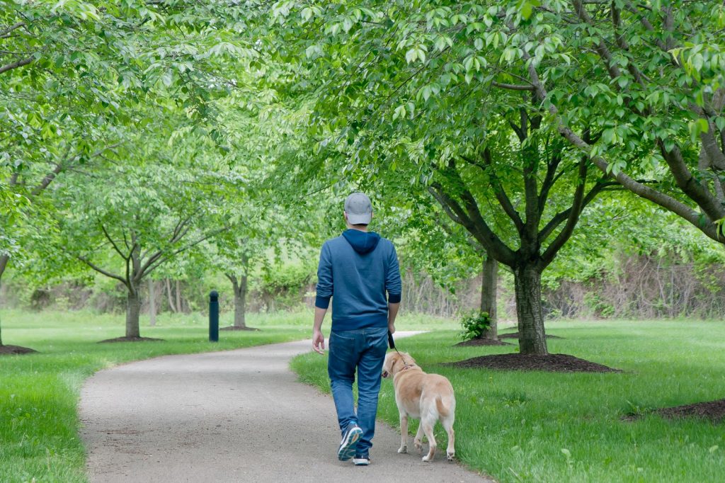 Ambler Dog Park